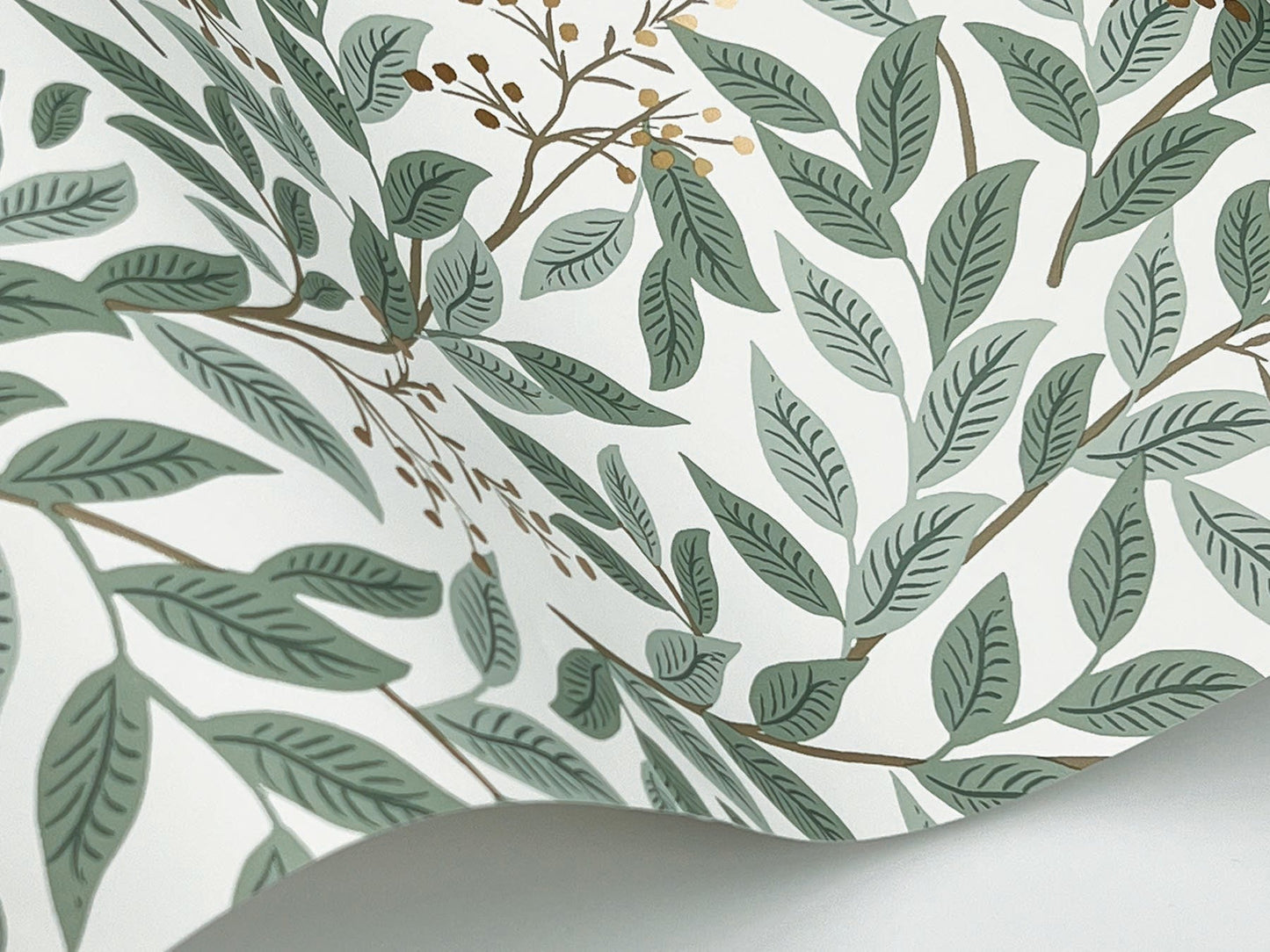 Willowberry - Sage & White