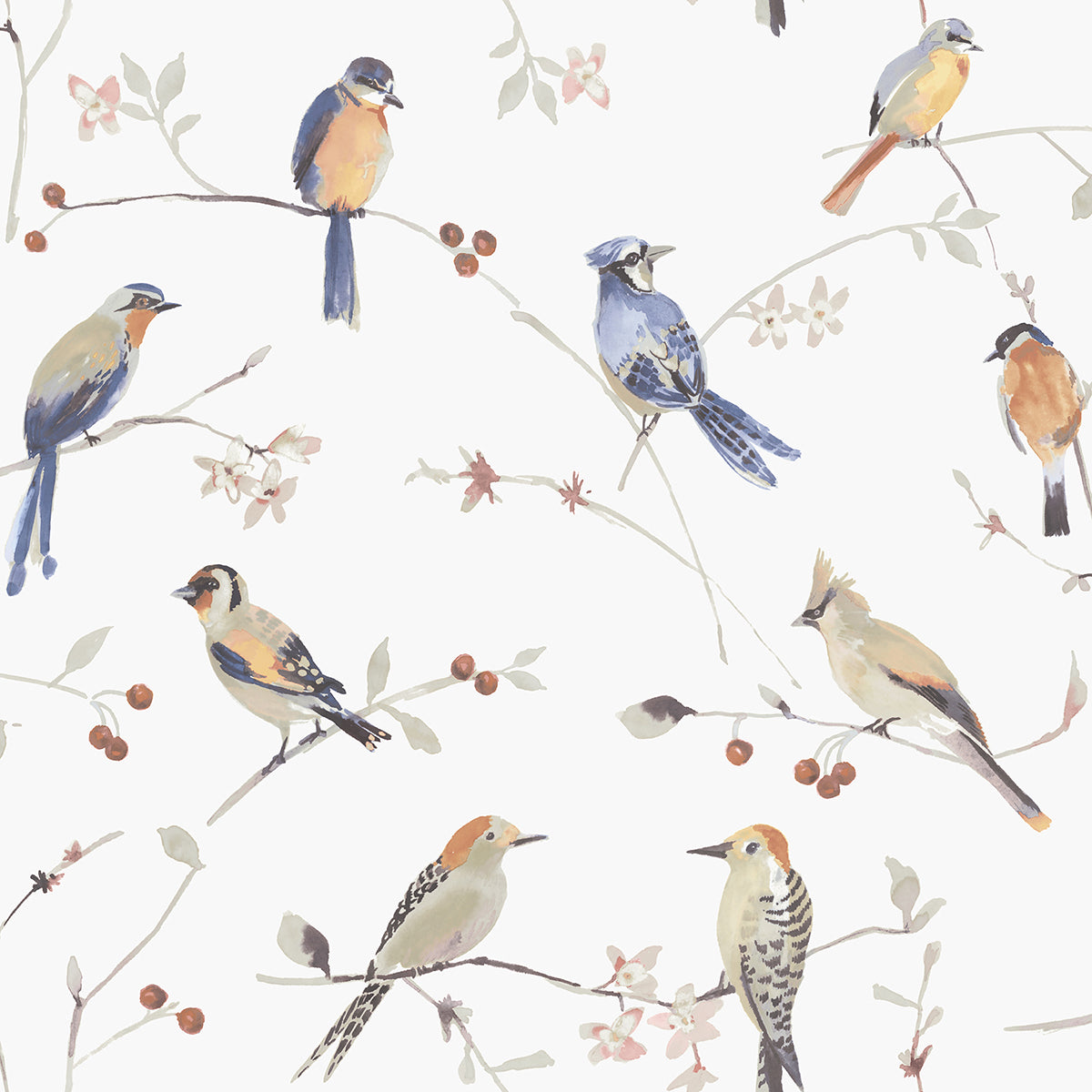 Birdsong Orange Trail