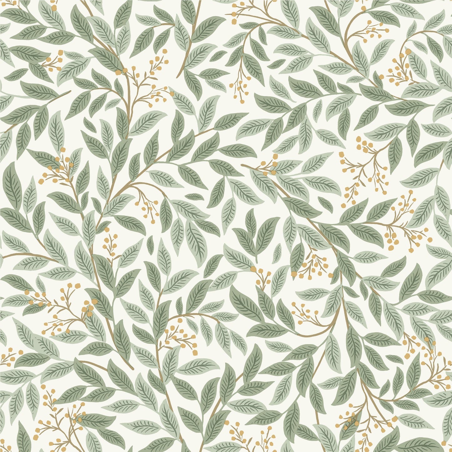 Willowberry - Sage & White