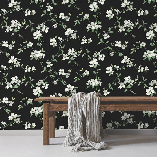 Dogwood Blooms