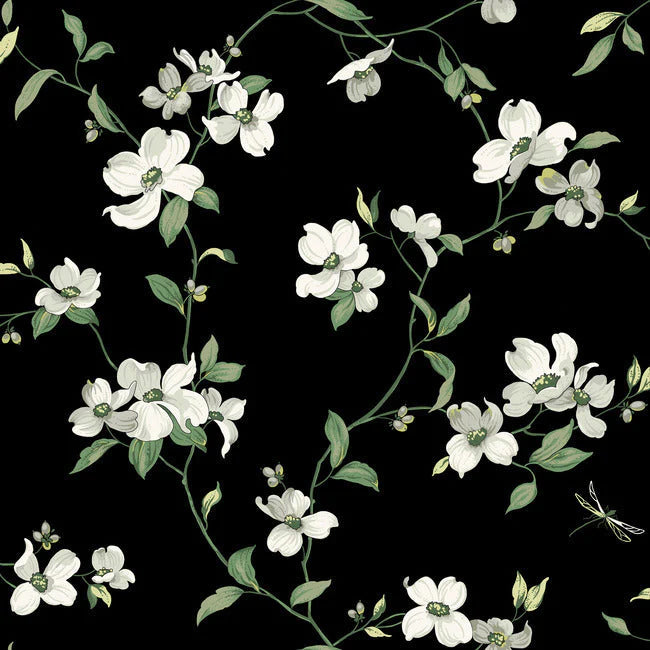 Dogwood Blooms