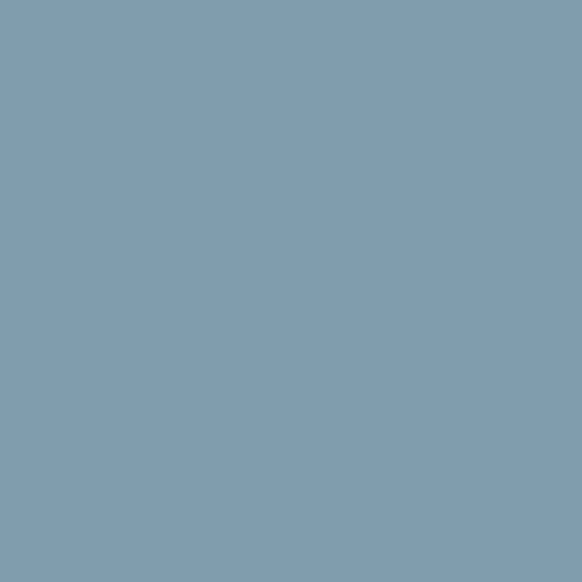 Labrador Blue 1670